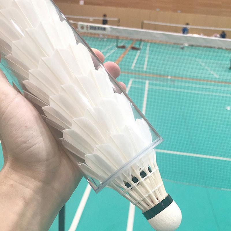 Shuttlecocks Storage Tube Badm - Badminton Shuttlecock review and price
